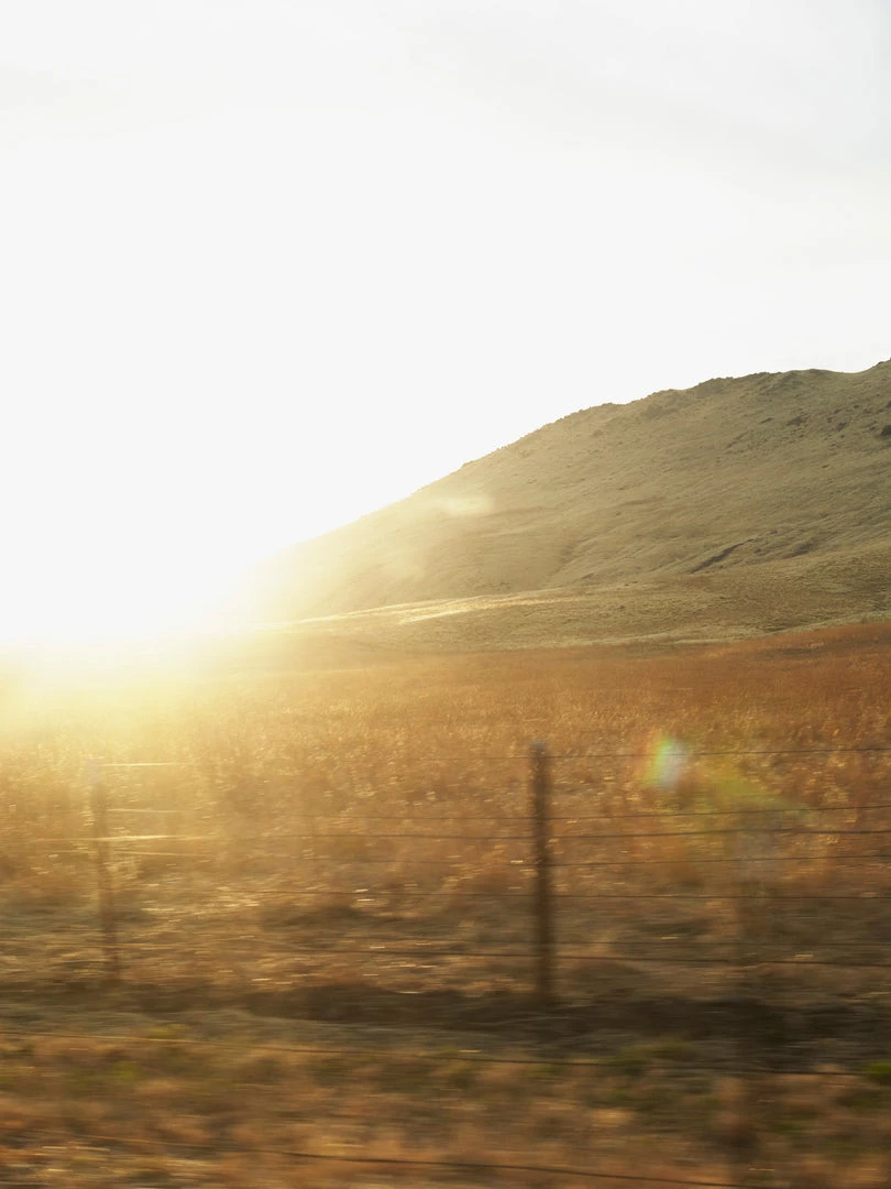 Abel Odor Golden Neroli – A Romantic, Citrus Floral 4 Abel Odor Golden Neroli – A Romantic, Citrus Floral