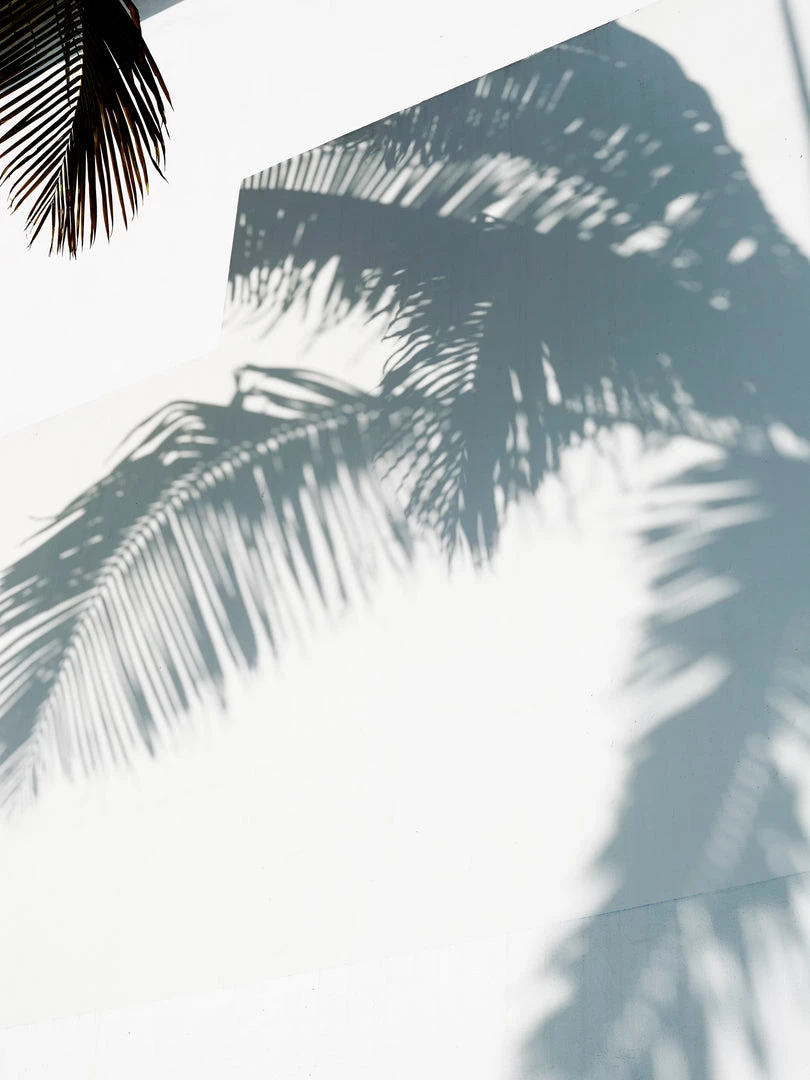 Abel Odor Bathroom White Vetiver – A Cool, Fresh Wood 4 Abel Odor Bathroom White Vetiver – A Cool, Fresh Wood