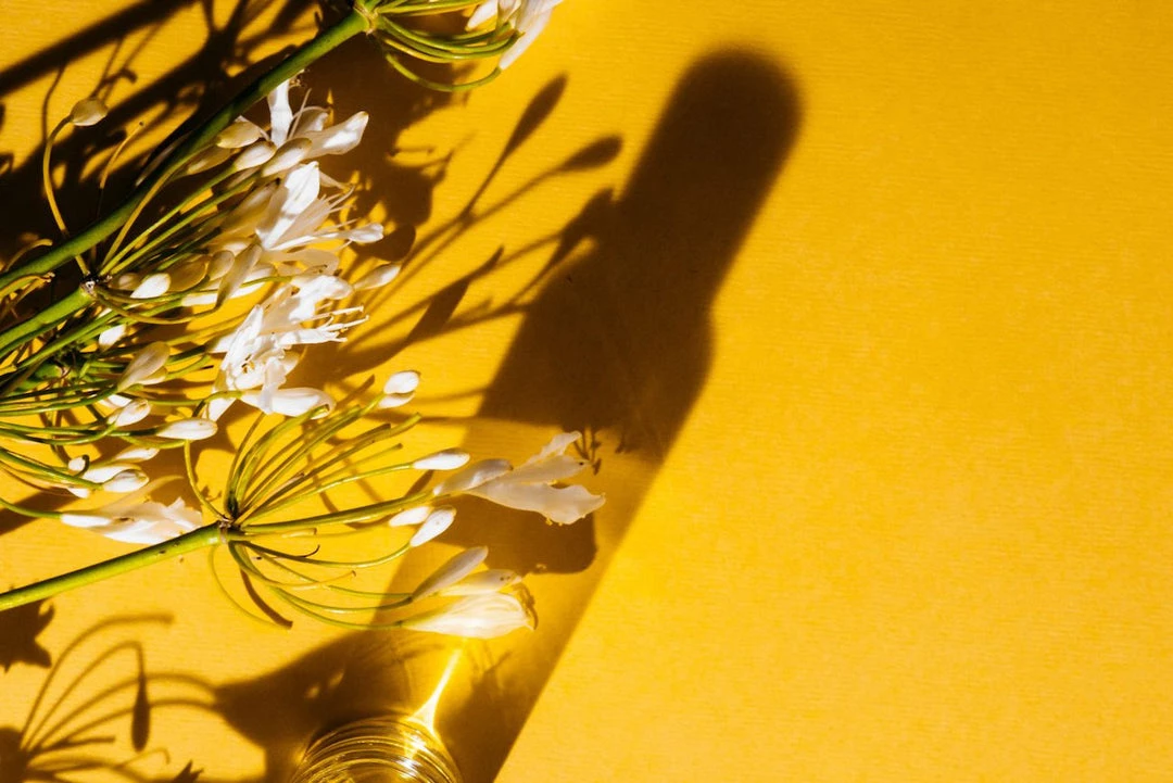 Abel Odor Golden Neroli – A Romantic, Citrus Floral 2 Abel Odor Golden Neroli – A Romantic, Citrus Floral