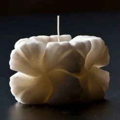Andrej Urem Rose Candle Living