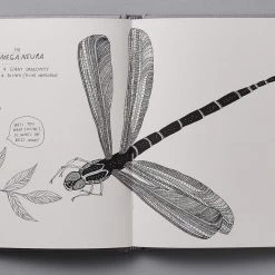 Maja Säfström Animals Of A Bygone Era – An Illustrated Compendium Living