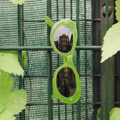 Auór Wardrobe Paloma Sunglasses – Celery