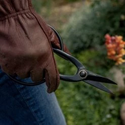 Barebones $50—$100 Artisan Pruning Shears