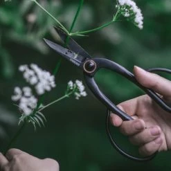 Barebones $50—$100 Artisan Pruning Shears 8 Barebones $50—$100 Artisan Pruning Shears