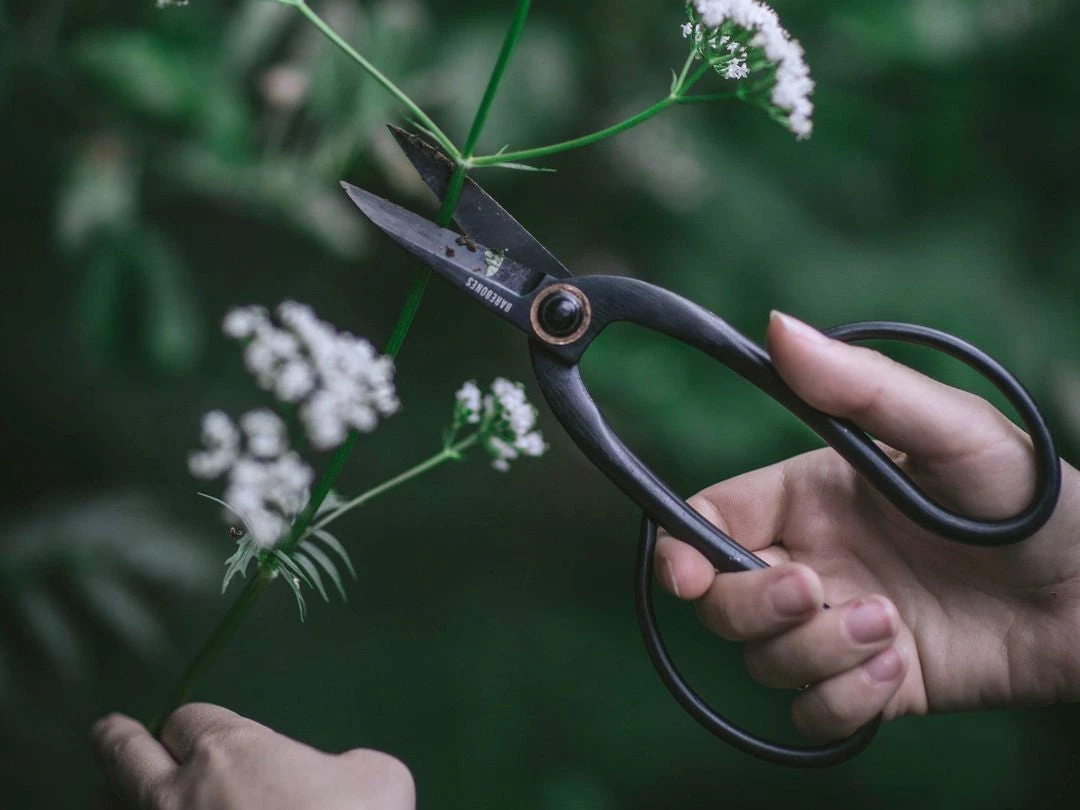 Barebones $50—$100 Artisan Pruning Shears 3 Barebones $50—$100 Artisan Pruning Shears