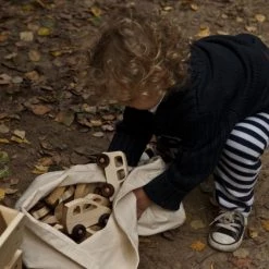 Wooden Story Baby＋Child Little French Vehicle