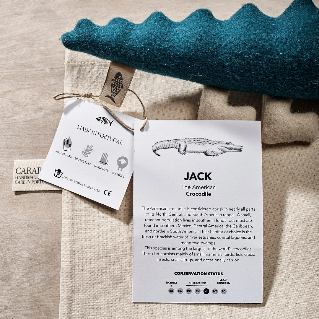 Carapau JACK, The American Crocodile 3 Carapau JACK, The American Crocodile