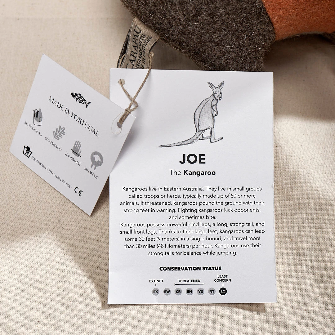 Carapau JOE, The Kangaroo Baby+Child 5 Carapau JOE, The Kangaroo Baby+Child