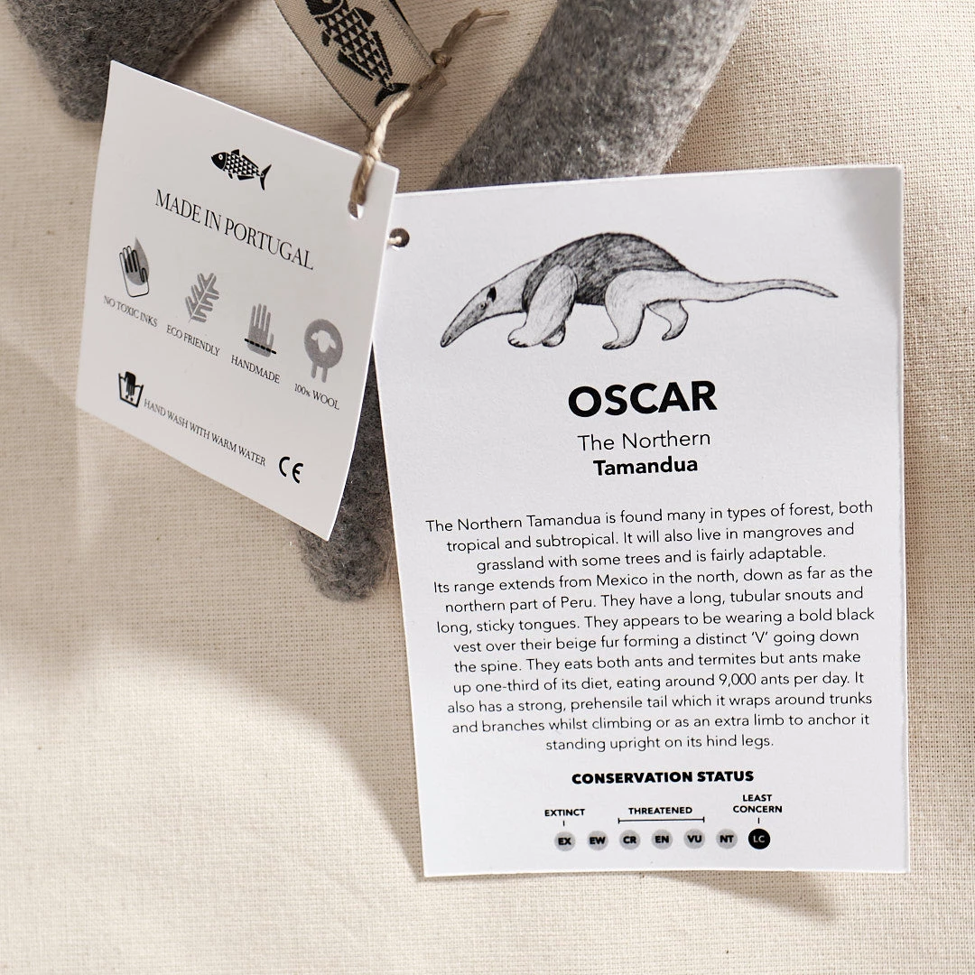 Carapau OSCAR, The Northern Tamandua Baby+Child 3 Carapau OSCAR, The Northern Tamandua Baby+Child