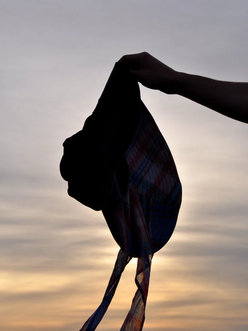 Companion Broad Brim With Wide Plaid Ties – Black EOS Sale* 2 Companion Broad Brim With Wide Plaid Ties – Black EOS Sale*