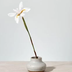 Deborah Sweeney Bud Vase №3 Living