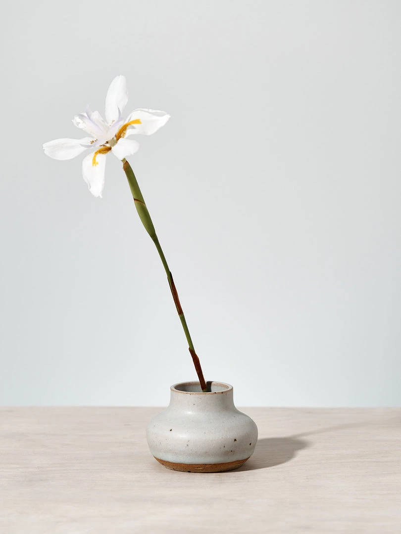 Deborah Sweeney Bud Vase №3 Living 1 Deborah Sweeney Bud Vase №3 Living