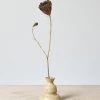 Deborah Sweeney Living Bud Vase №17