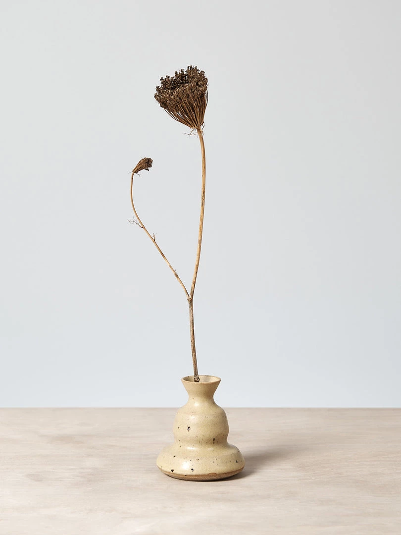 Deborah Sweeney Living Bud Vase №17 1 Deborah Sweeney Living Bud Vase №17