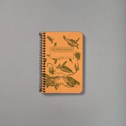 Decomposition Recycled Notebook – Pocket Sized/Ruled (Sea Turtles)