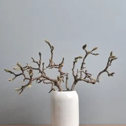 Gidon Bing Living Ovum Vase - Satin White