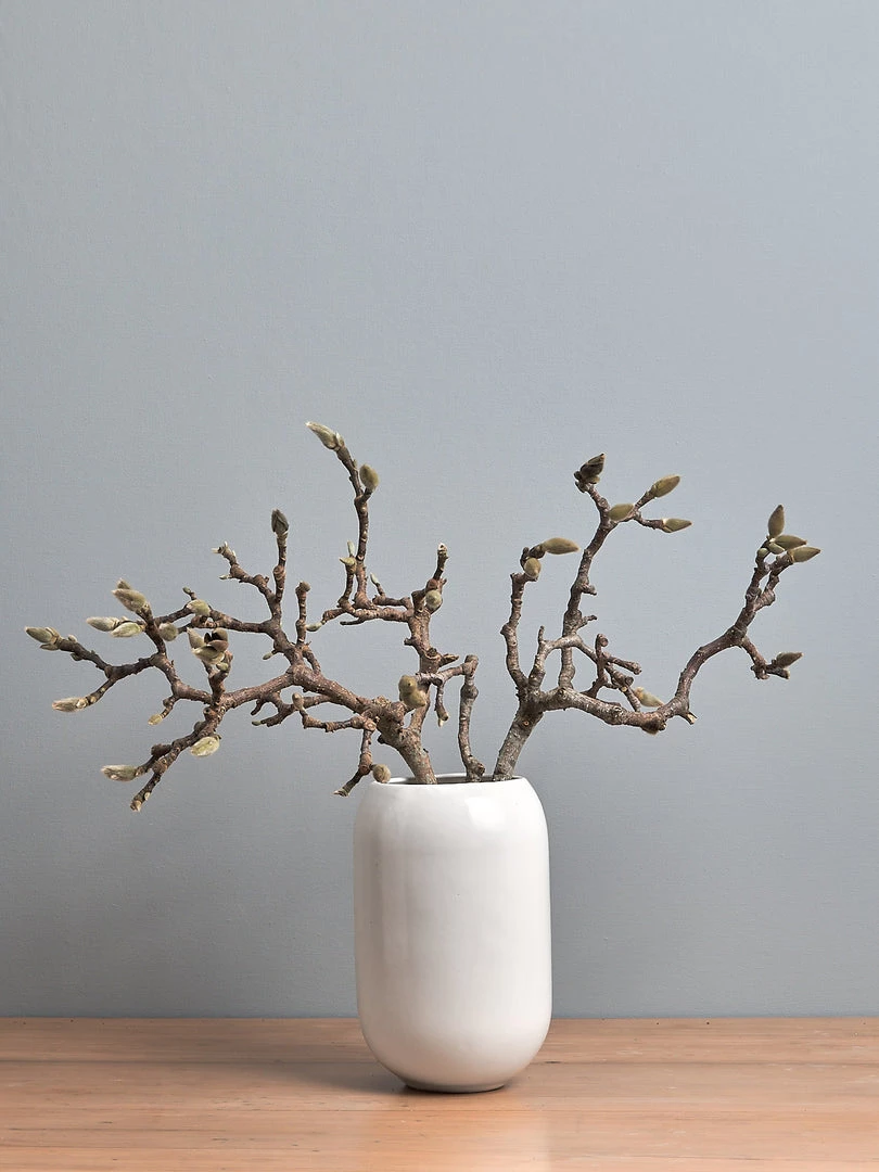 Gidon Bing Living Ovum Vase - Satin White 2 Gidon Bing Living Ovum Vase - Satin White