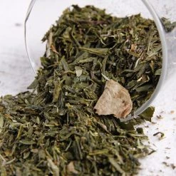 Kaputi Studio Ngahere Sencha ＜$50