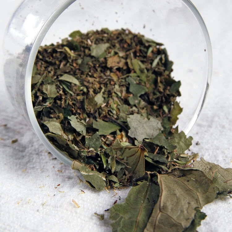 Kaputi Studio Kawakawa Vitality <$50 5 Kaputi Studio Kawakawa Vitality <$50