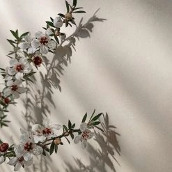 MARAMA EOS Sale* Eclipse – Exfoliating Face Soap