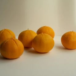 Nonna's Grocer Living Mandarin Candle – Small