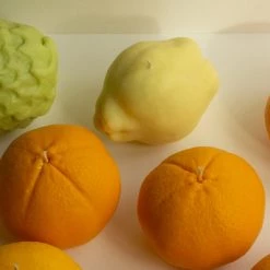 Nonna's Grocer Quince Candle Living 8 Nonna's Grocer Quince Candle Living