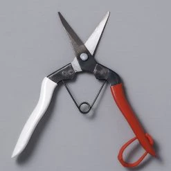 Okatsune Japanese Snips – №304