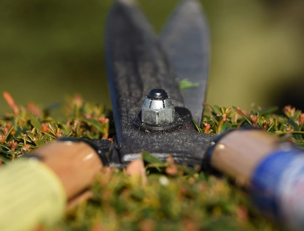 Okatsune Japanese Hedge Shears – №217 Short Handled Gifts For Her 6 Okatsune Japanese Hedge Shears – №217 Short Handled Gifts For Her