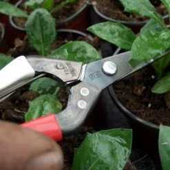 Okatsune Japanese Snips – №304