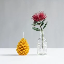 Pauariki Honey Living Pine Cone Candle