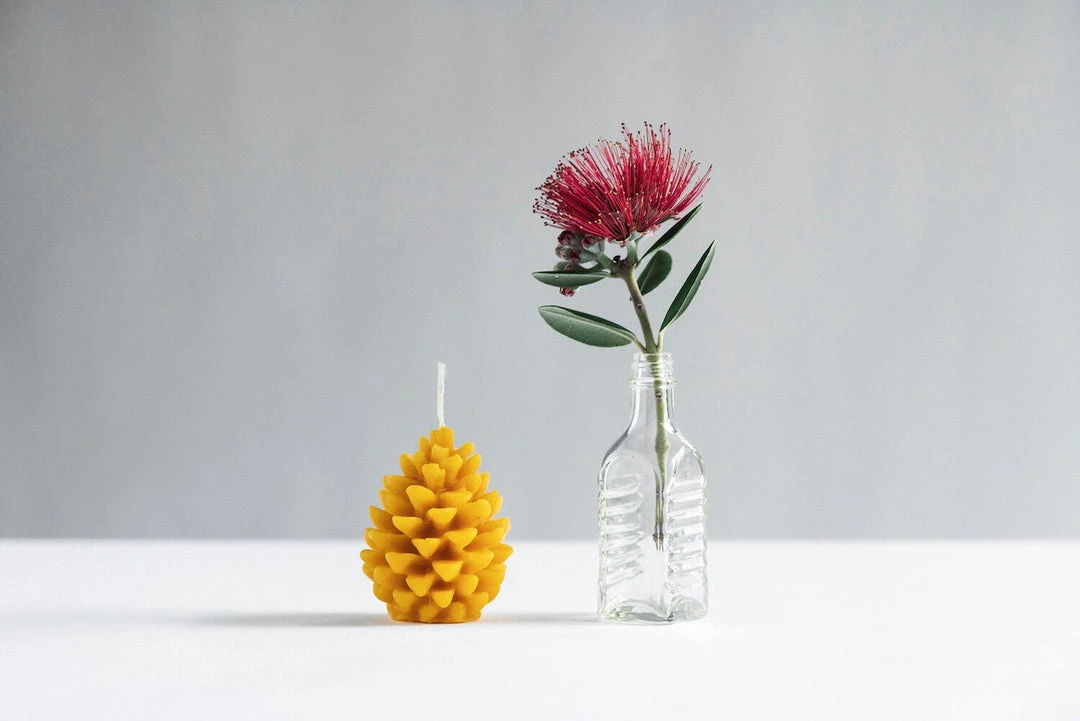 Pauariki Honey Living Pine Cone Candle 2 Pauariki Honey Living Pine Cone Candle