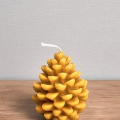 Pauariki Honey Living Pine Cone Candle