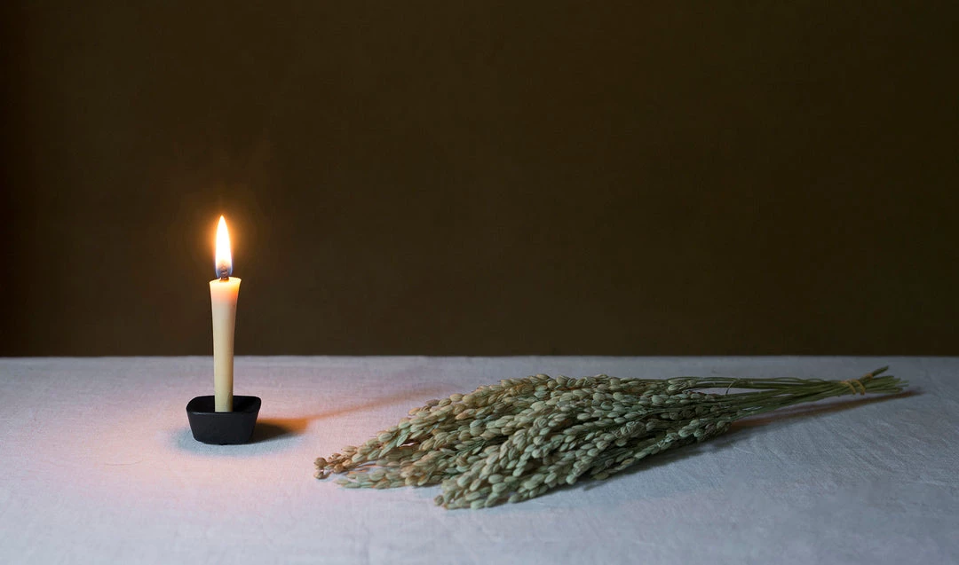 Takazawa Living Koma-No-Megumi Candles (box Of 20) 5 Takazawa Living Koma-No-Megumi Candles (box Of 20)