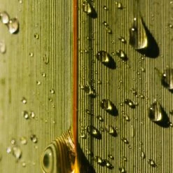 Real World Bathroom Blood Orange & Harakeke Hand Cream 60ml