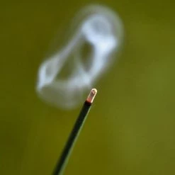 Senko Cherry Blossom – Kyozakura Living