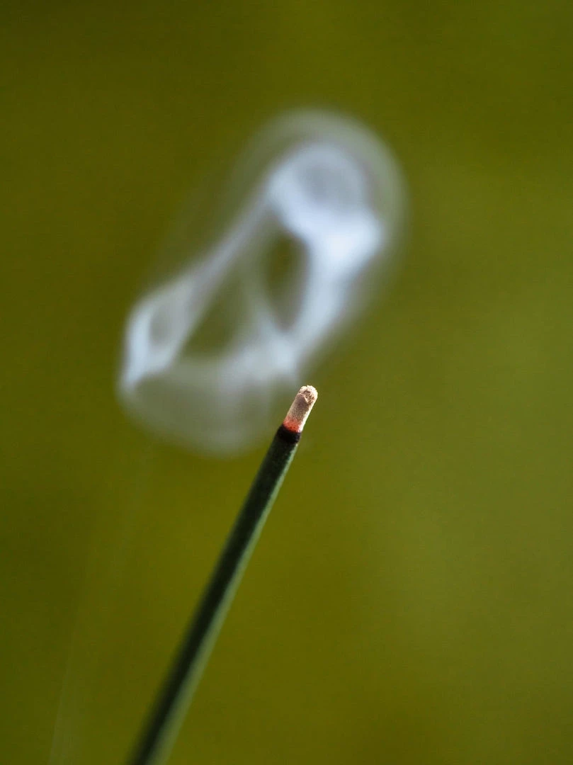 Senko Cherry Blossom – Kyozakura Living 2 Senko Cherry Blossom – Kyozakura Living