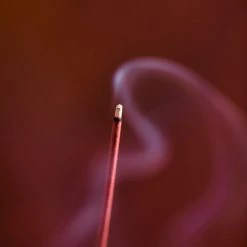 Senko Living Golden Pavilion – Kinkaku