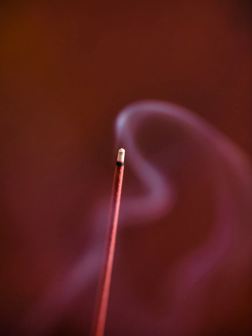 Senko Living Golden Pavilion – Kinkaku 2 Senko Living Golden Pavilion – Kinkaku