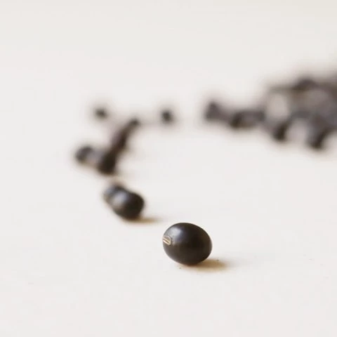 So.Ah Black Bean Soy Milk Soap – Revitalise 4 So.Ah Black Bean Soy Milk Soap – Revitalise