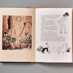 Tove Jansson Living The Moomins And The Great Flood 11 Tove Jansson Living The Moomins And The Great Flood
