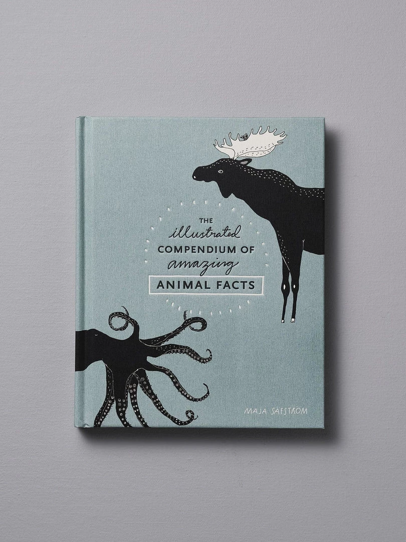 Maja Säfström The Illustrated Compendium Of Amazing Animal Facts 1 Maja Säfström The Illustrated Compendium Of Amazing Animal Facts