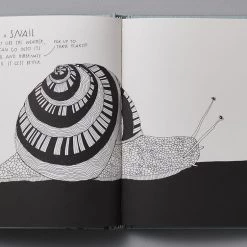 Maja Säfström The Illustrated Compendium Of Amazing Animal Facts 9 Maja Säfström The Illustrated Compendium Of Amazing Animal Facts