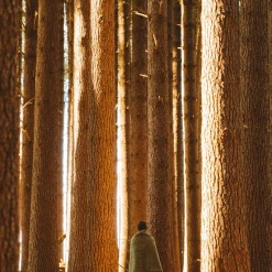 Seljak Brand Living Moss Blanket – Fringe 20 Seljak Brand Living Moss Blanket – Fringe