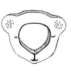 Wooden Story Koala Bear Teether