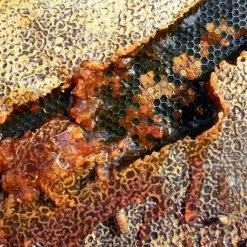 Wrights Honey Manuka Honey 13 Wrights Honey Manuka Honey